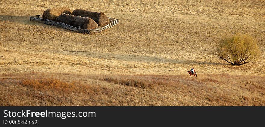 A lonely traveler in the valley.