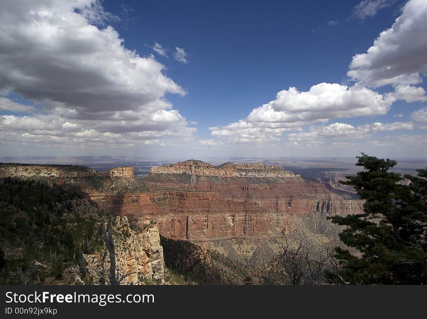 Views of The Grand Canyon, North Rim