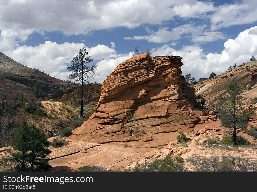 Zion National Park