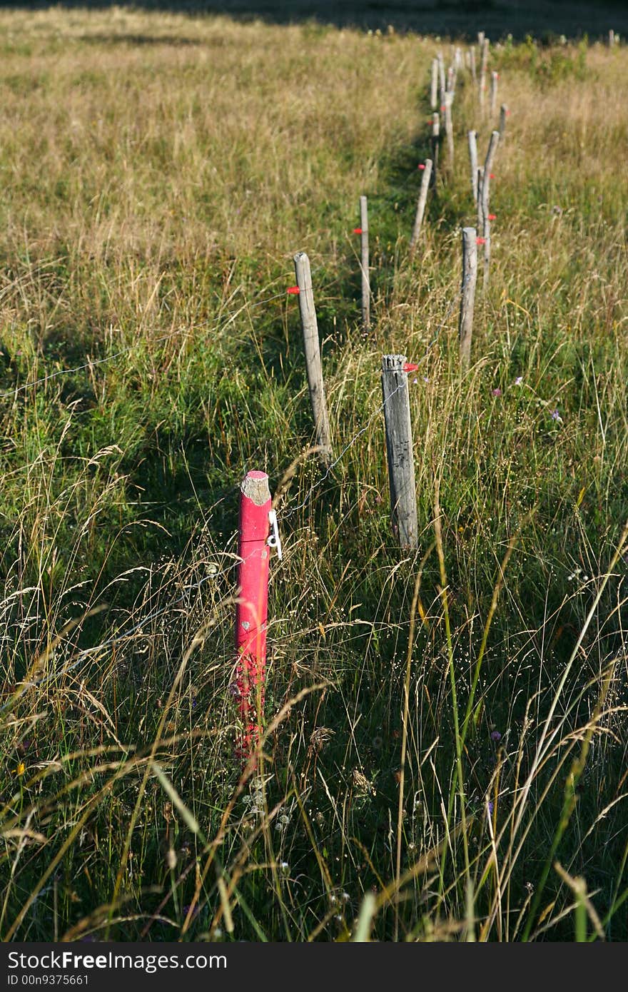 A row of rustic fence posts lined up in an alpine pasture, bathed in golden early morning sunlight. A row of rustic fence posts lined up in an alpine pasture, bathed in golden early morning sunlight