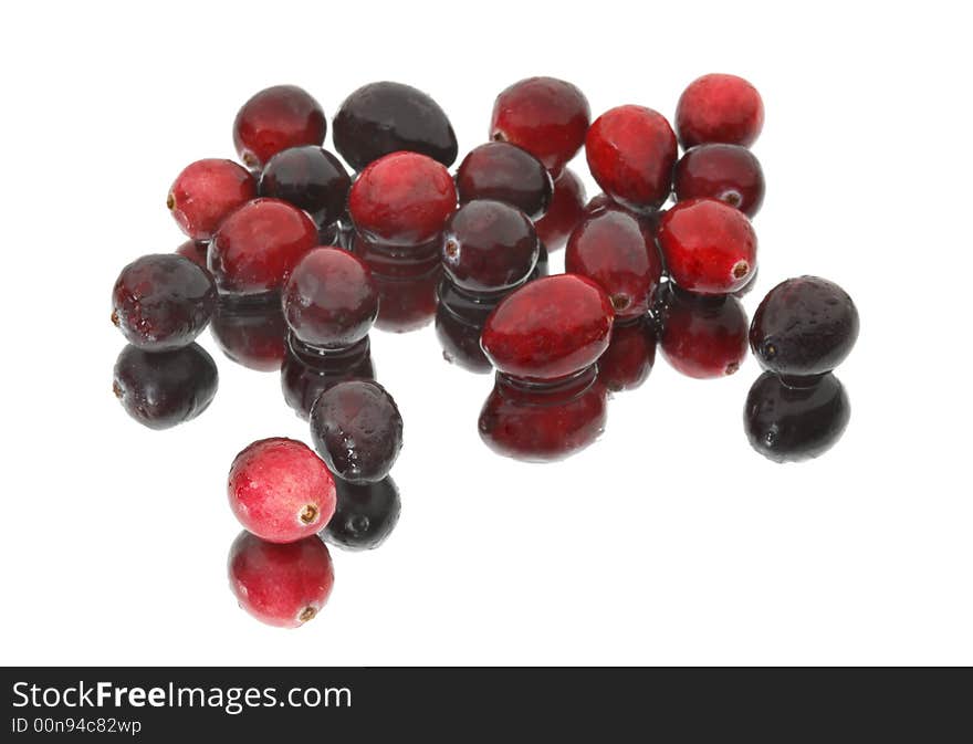 Wet Cranberries on Mirrored White Surface From Above - focus on foreground cranberries