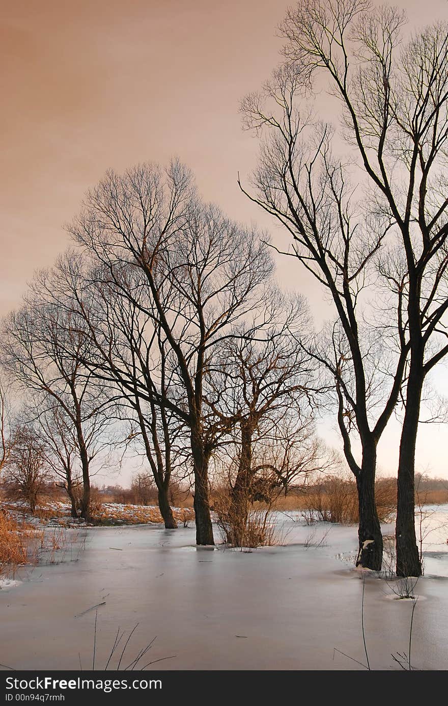 Winter by the river