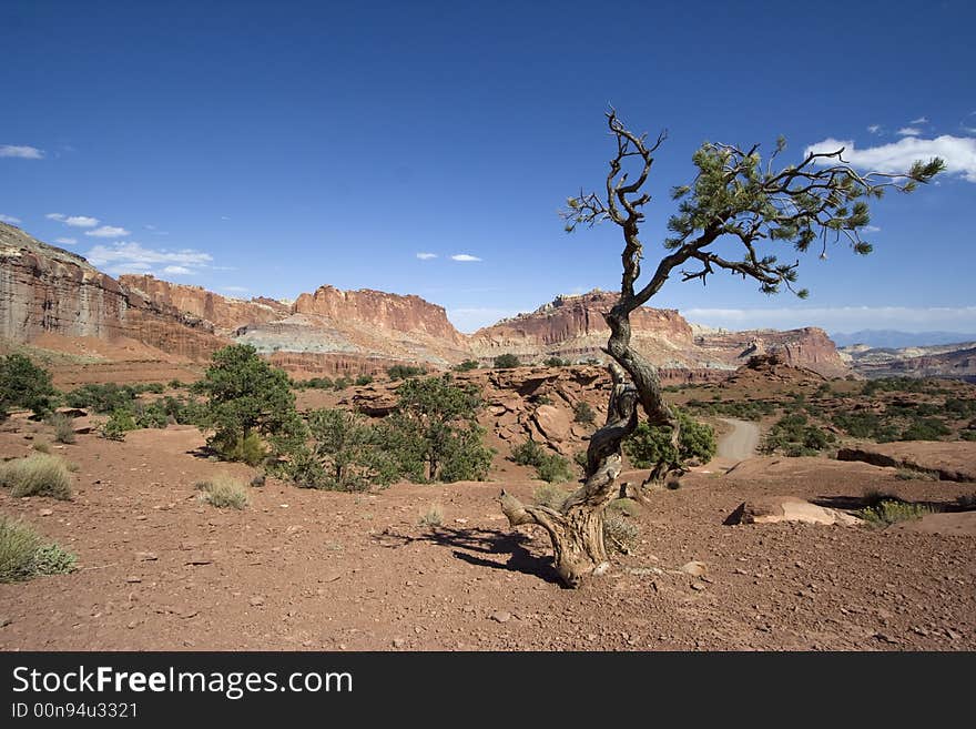 Capitol Reef National Park