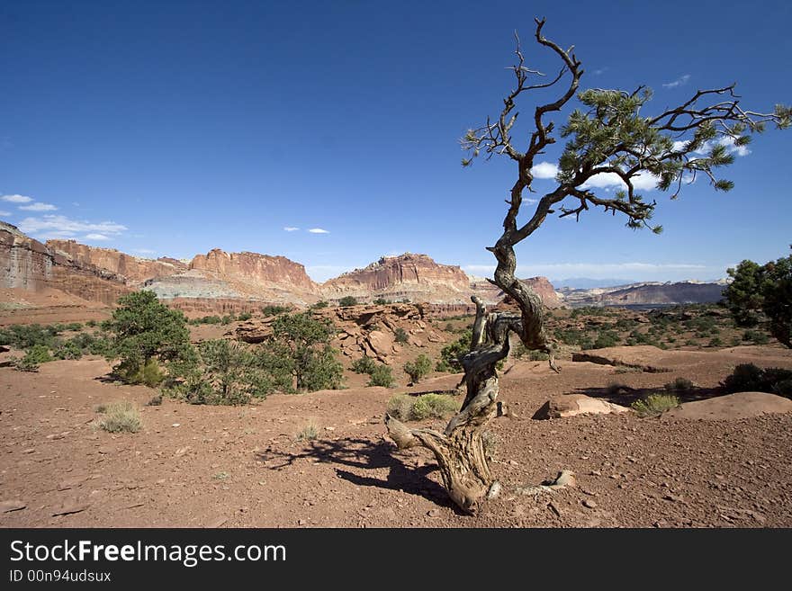 Capitol Reef National Park