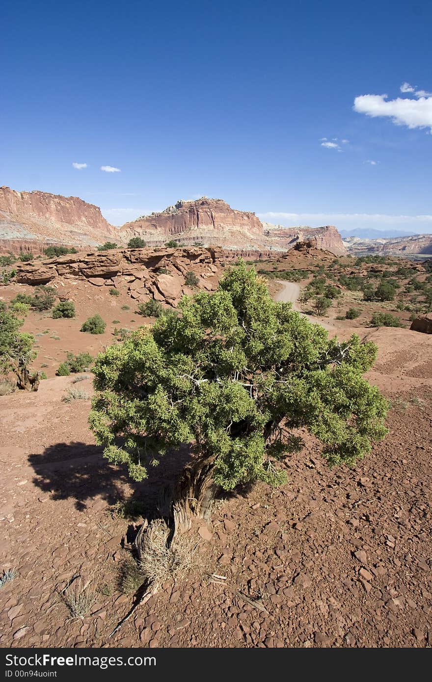 Capitol Reef National Park