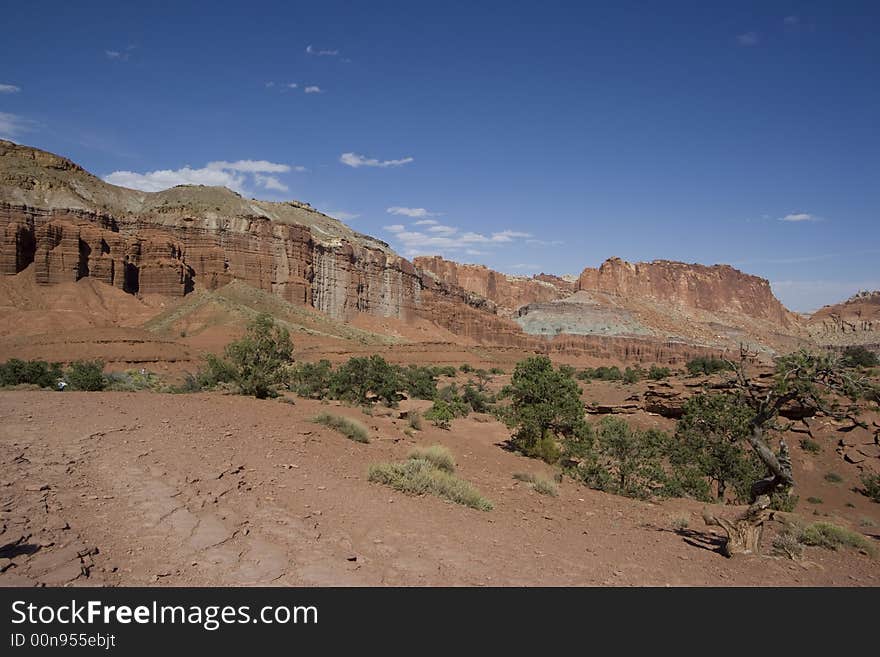 Scenic views of Capitol Reef National Park