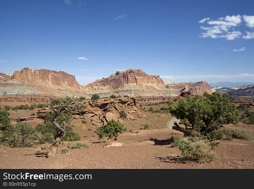 Scenic views of Capitol Reef National Park