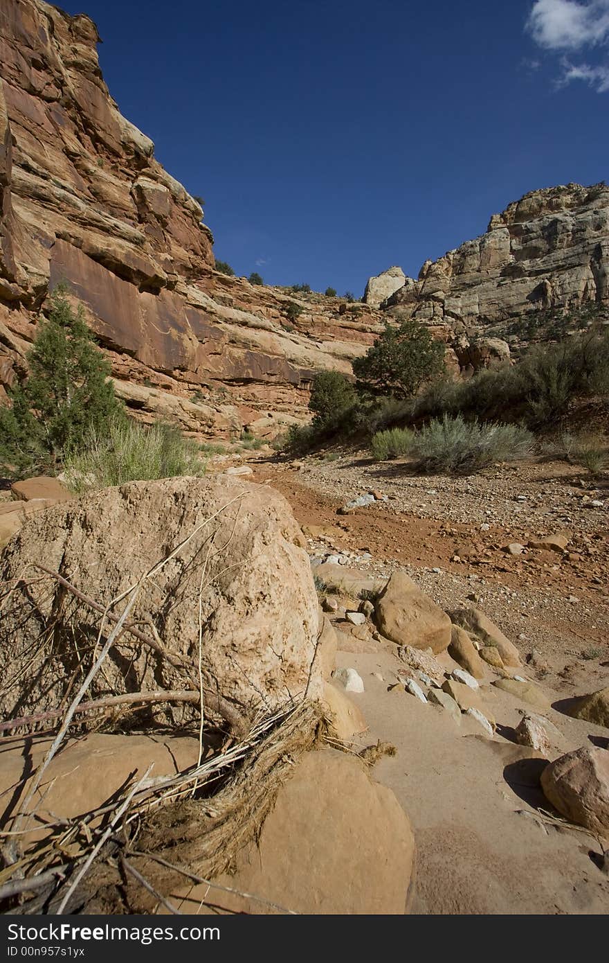 Capitol Reef National Park