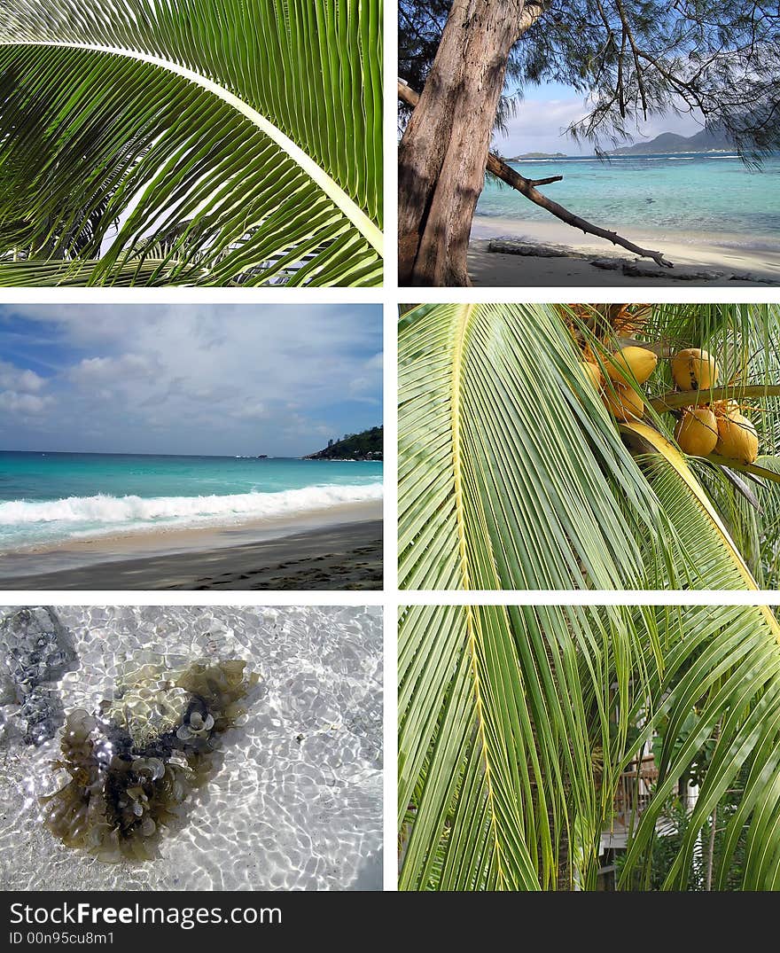 Tropical installation. Seychelles