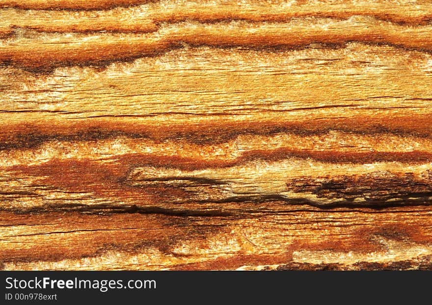 Colorful wood texture