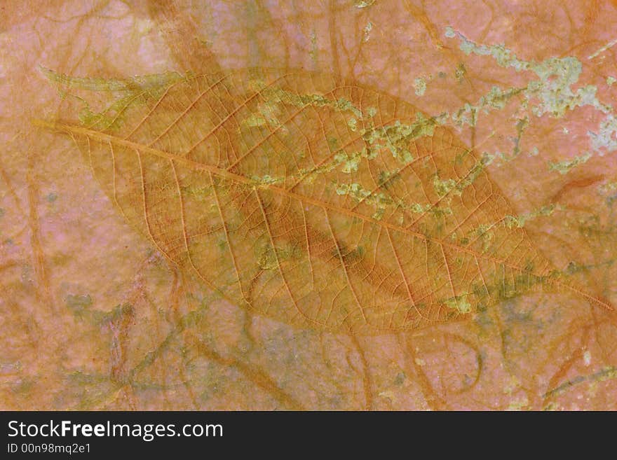 Grunge style background with leaf imprint. Grunge style background with leaf imprint