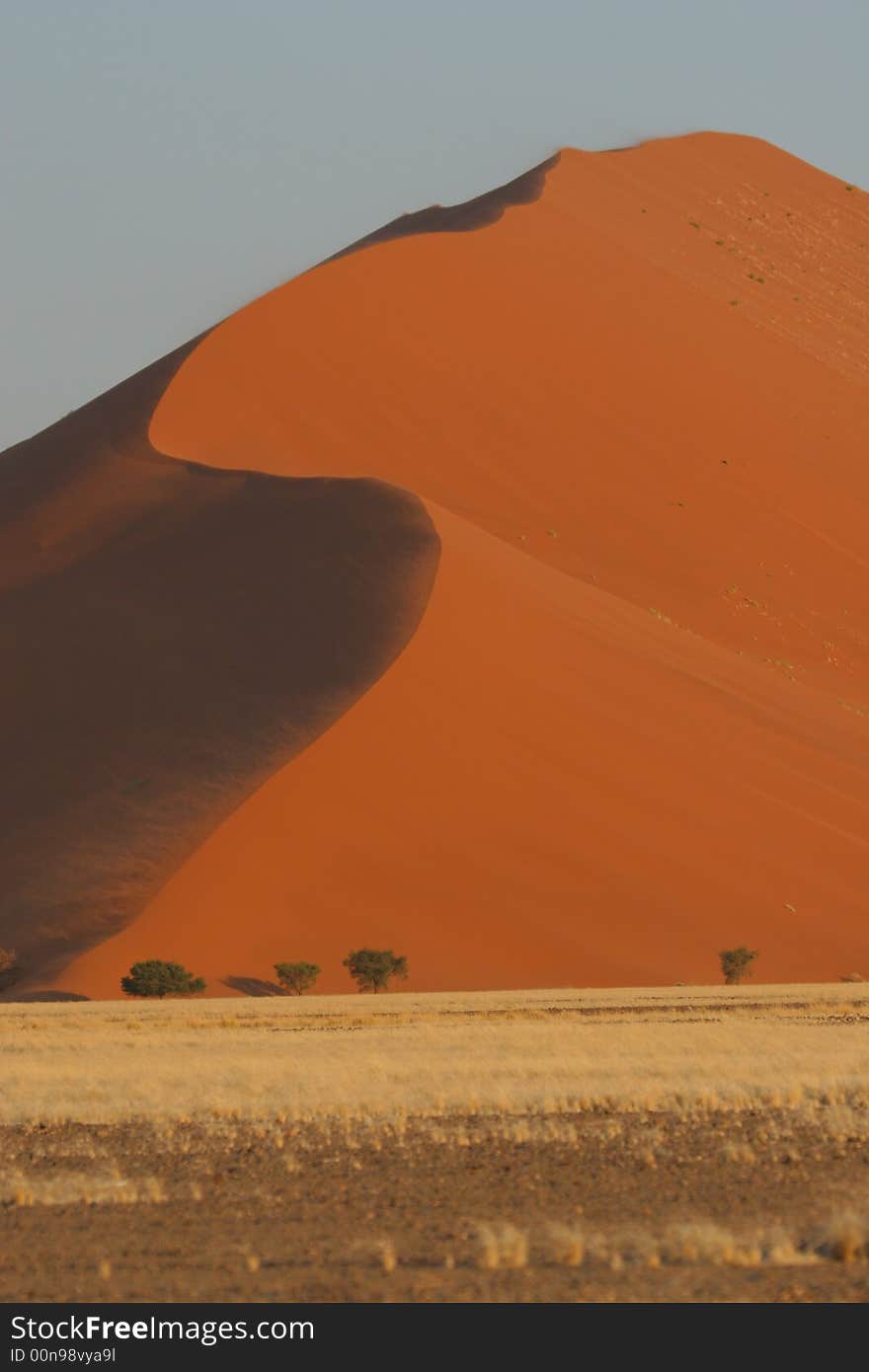 Dune in Namibia at sossusvlei with a lot of wind. Dune in Namibia at sossusvlei with a lot of wind