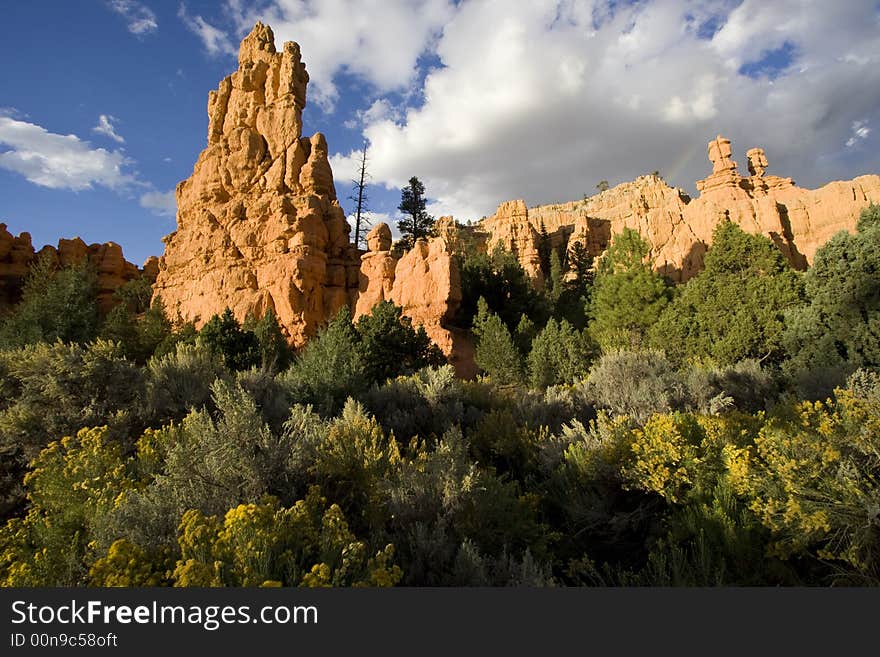 Scenic view of Dixie National Forest at Sunset