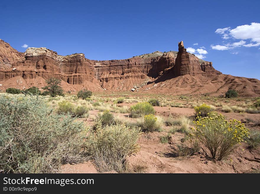 Scenic views of Capitol Reef National Park