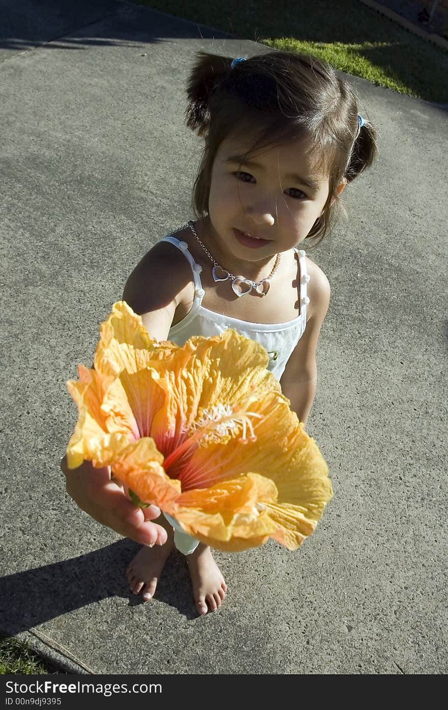 Girl in white dress gives orange flower. Girl in white dress gives orange flower