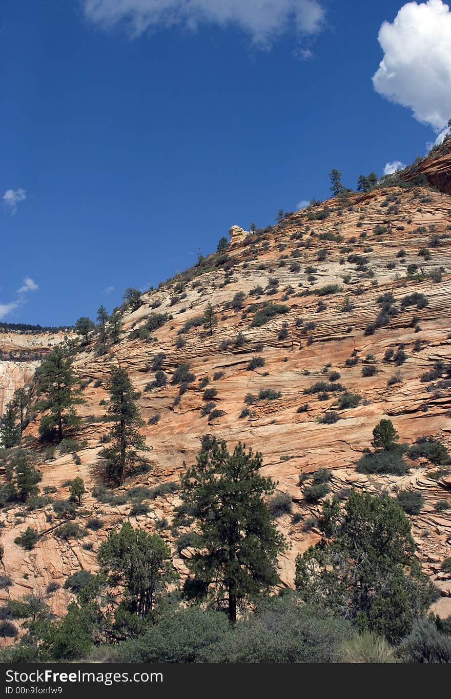 Zion National Park