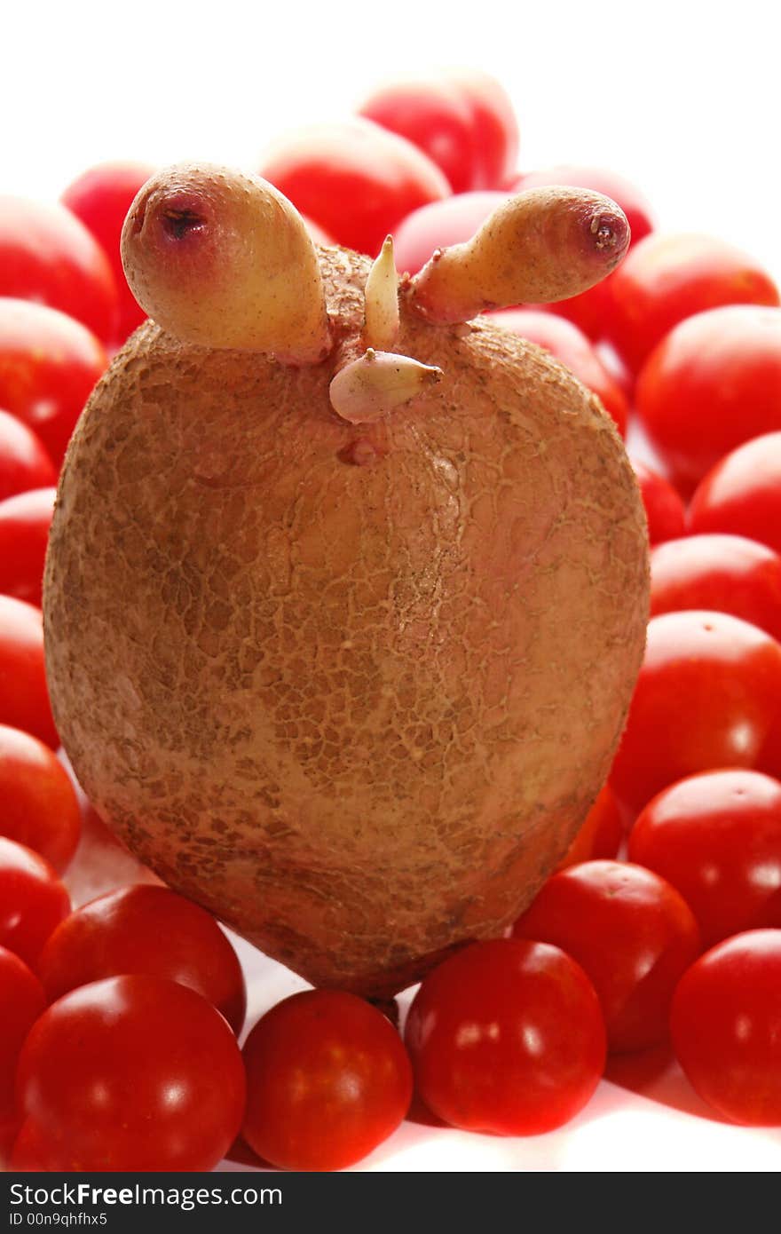 Potato, tomato on a white background