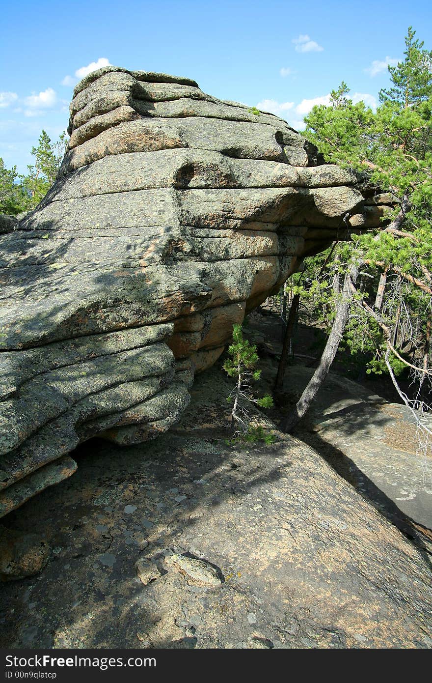 Image with a rock and pines