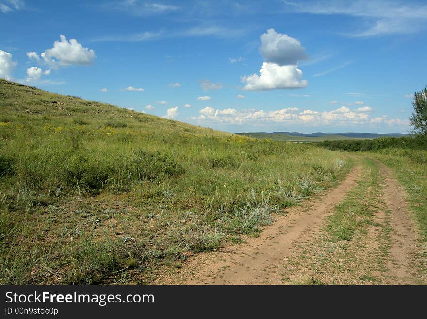 Road to steppes among a grass