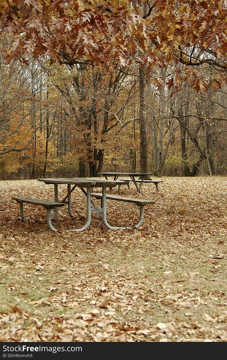 Picnic are in fall at the park. Picnic are in fall at the park.