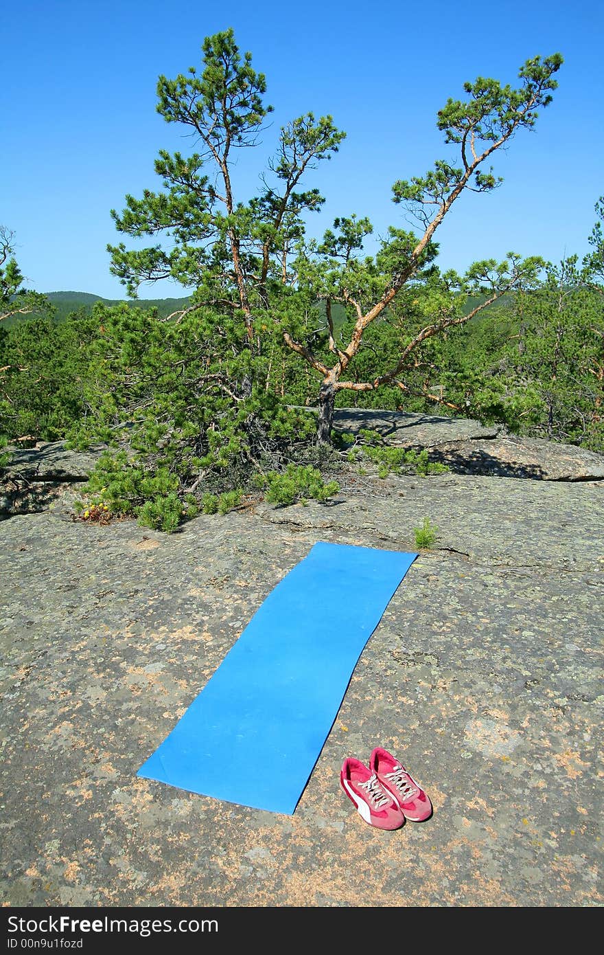 Tourist carpet on stone in forest. Tourist carpet on stone in forest