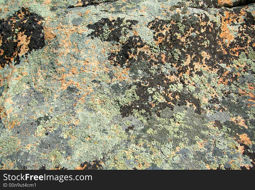 Fragment of stone with the spots of color lichen