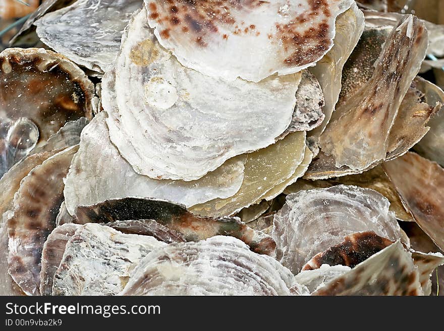 Bunch of empty oyster shells for decoration