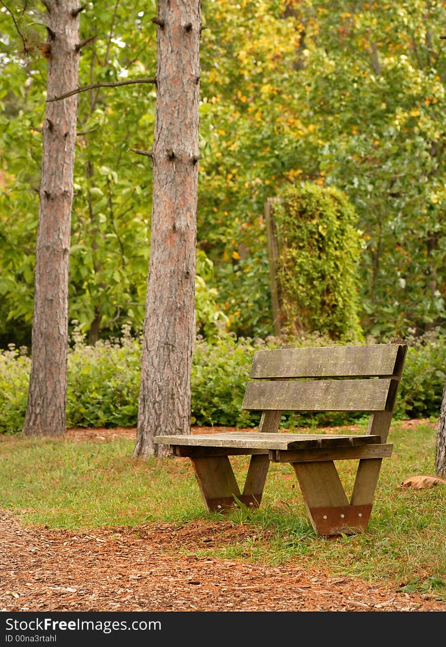 Park bench along a path