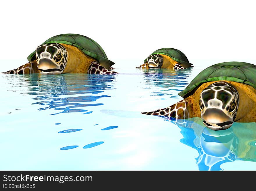 A 3 d render of a sea turtles