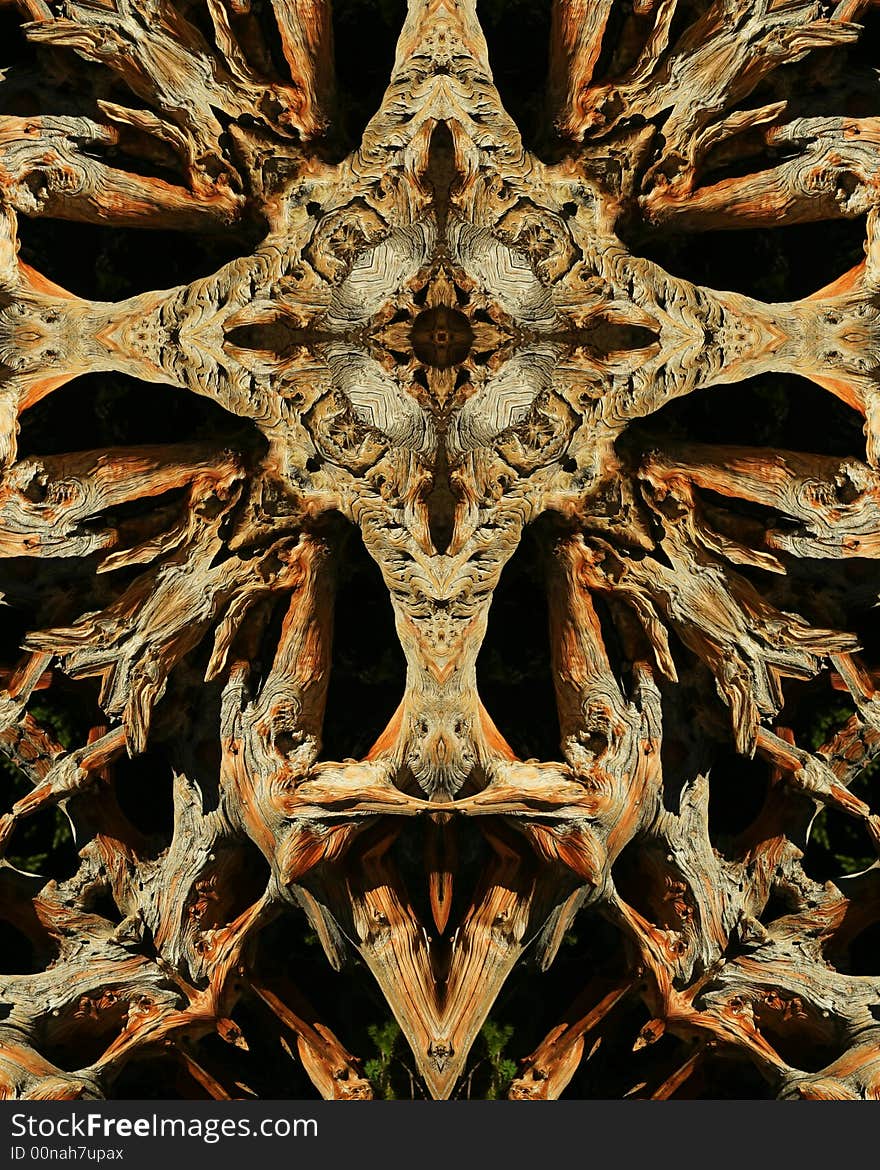 Kaleidoscope cross:  wood grains from tree stump. Kaleidoscope cross:  wood grains from tree stump