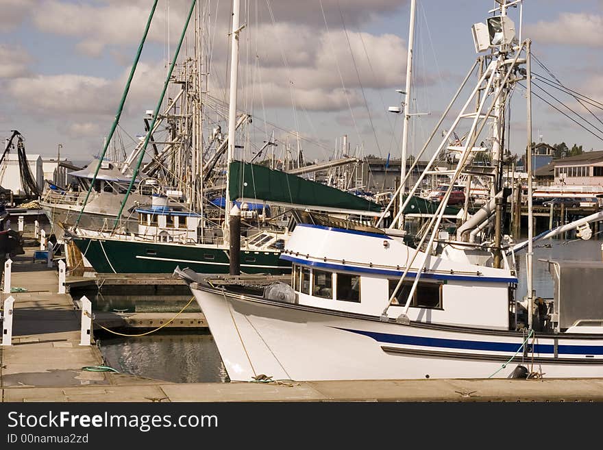 Fishing Boats at Marina