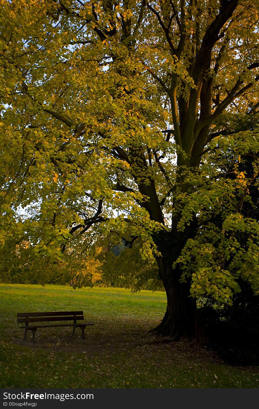 Alone On A Bench