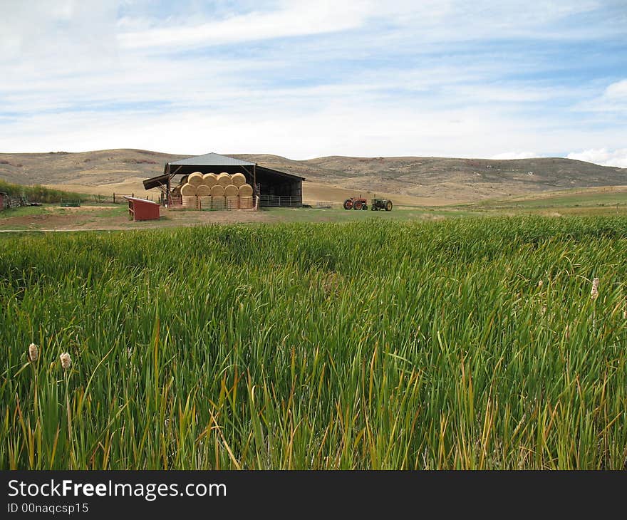 Idaho Farm Land