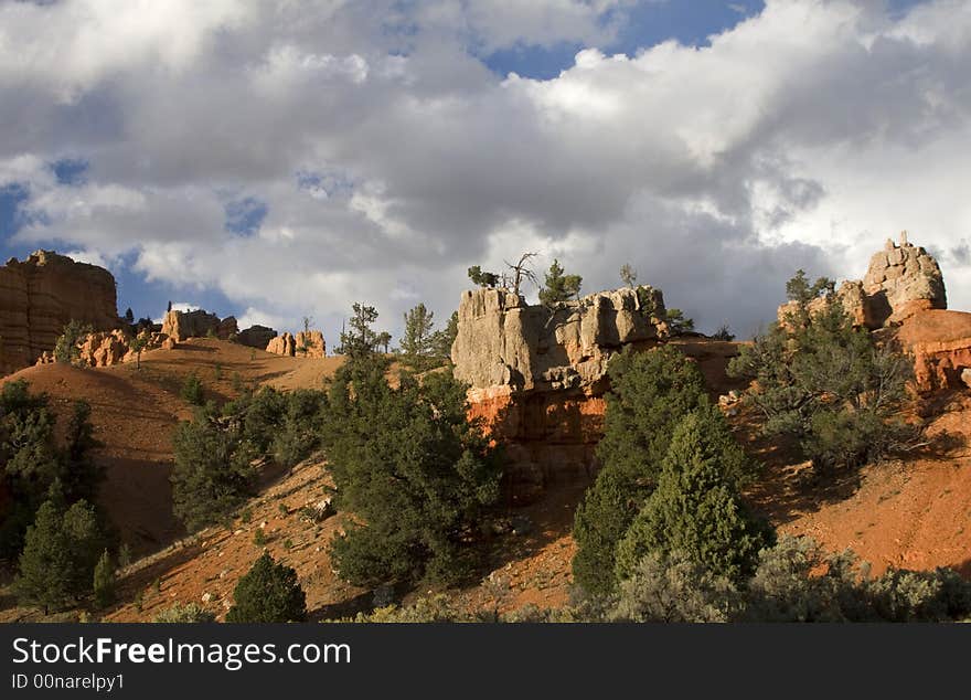 Scenic view of Dixie National Forest at Sunset