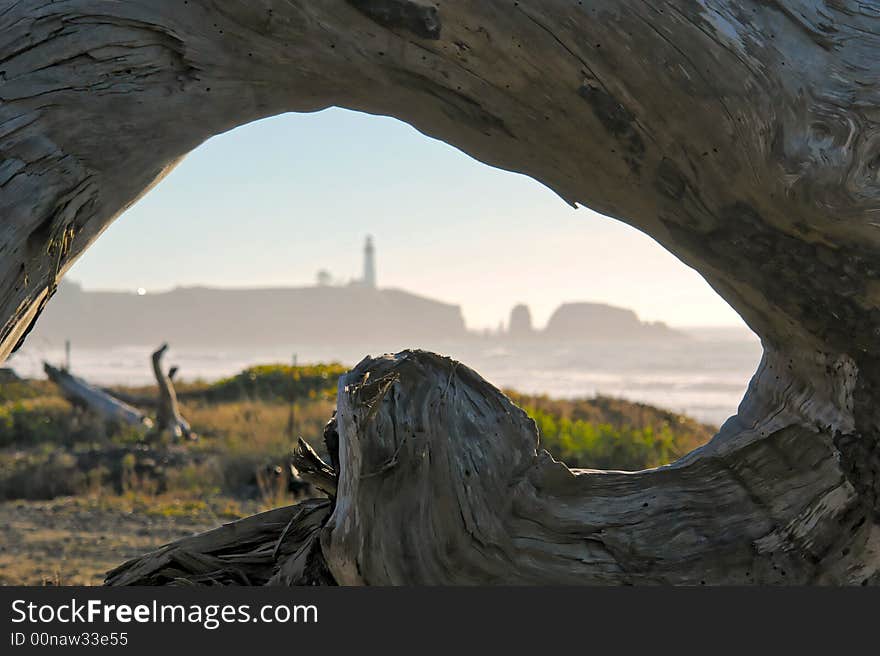 Driftwood frame