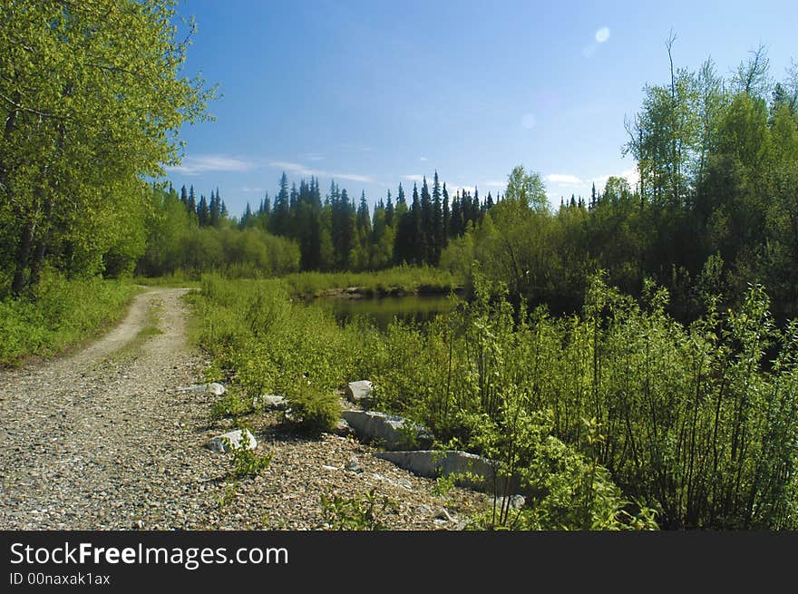 Cheena River Alaska