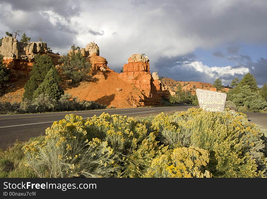 Dixie National Forest