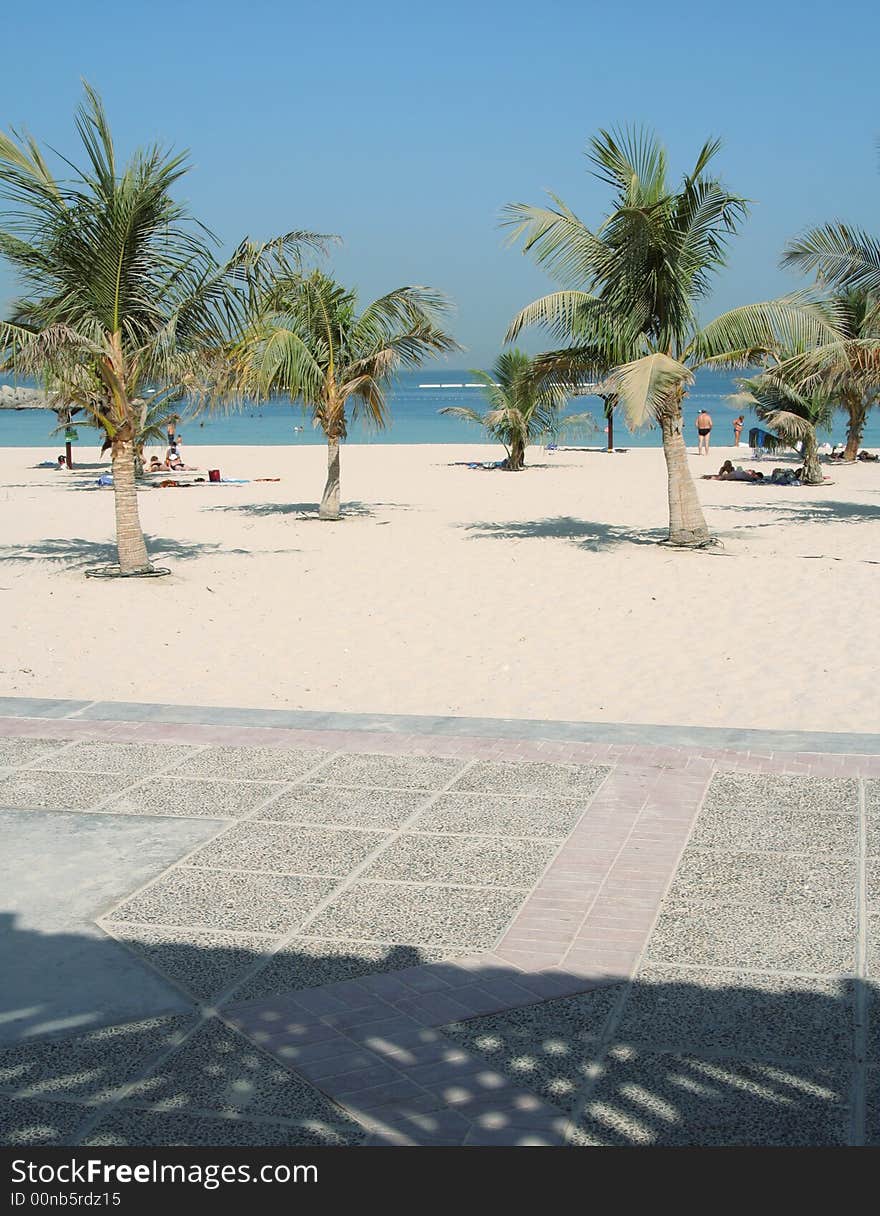 Sand beach with palms