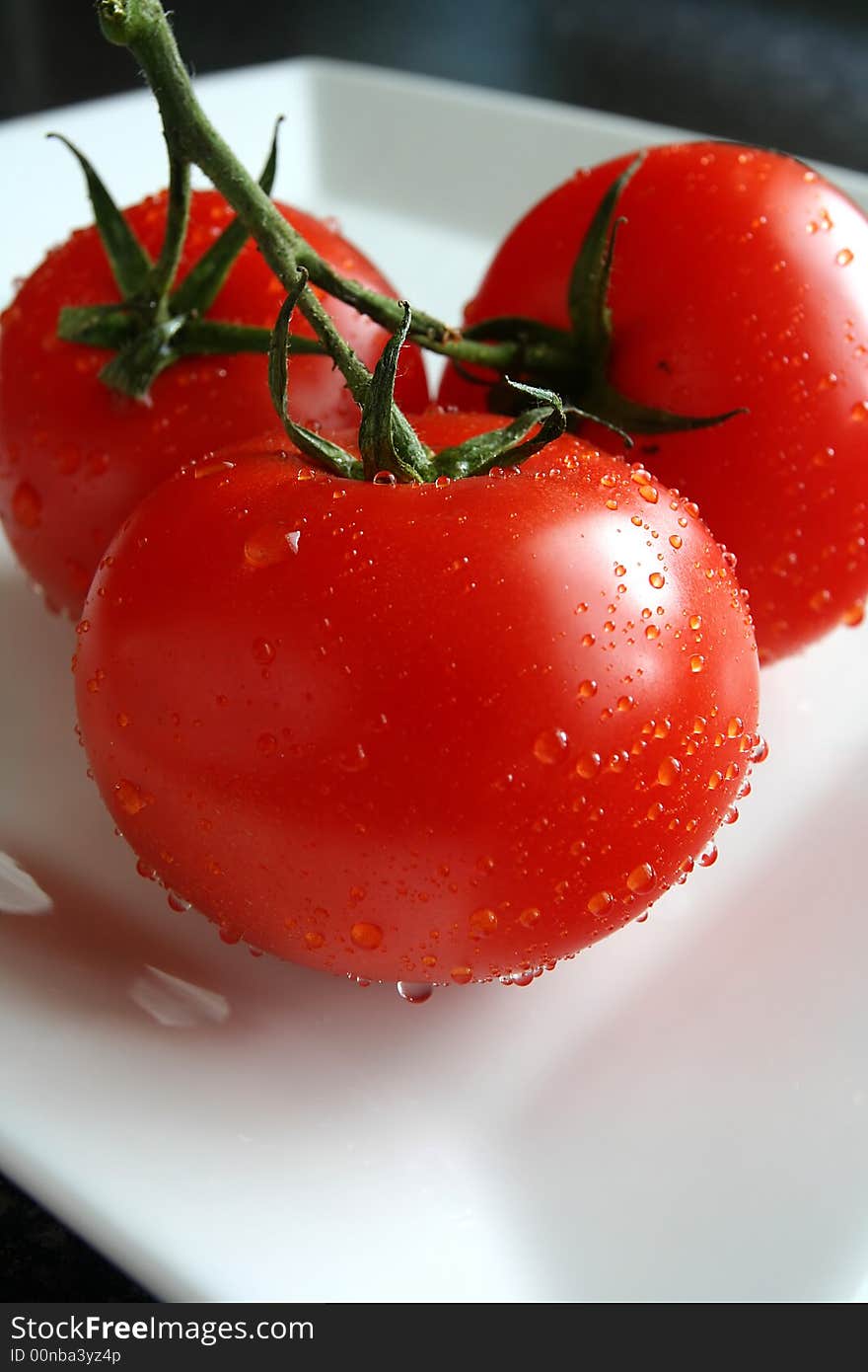 Three fresh tomatoes on white plate