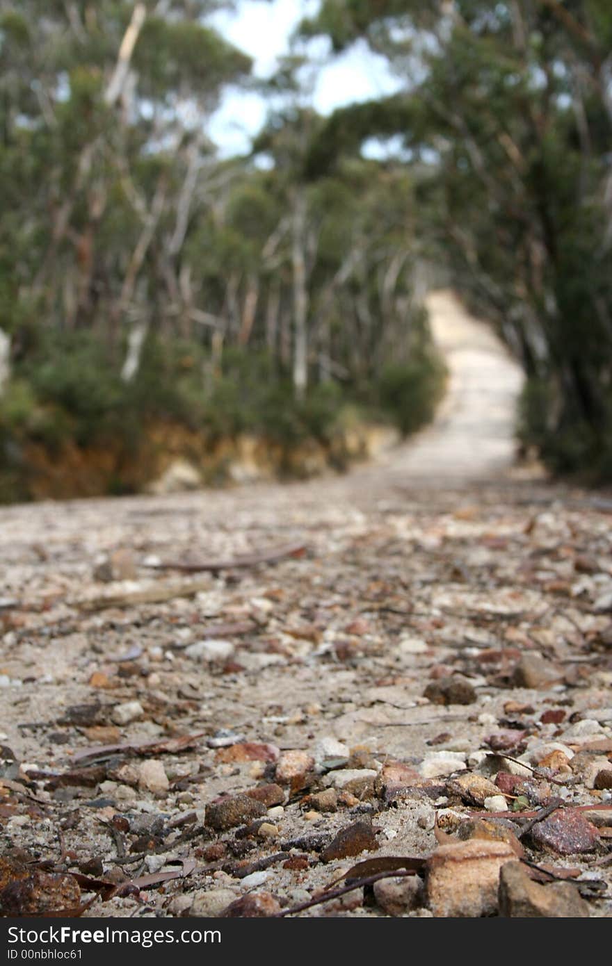 Isolated bush track