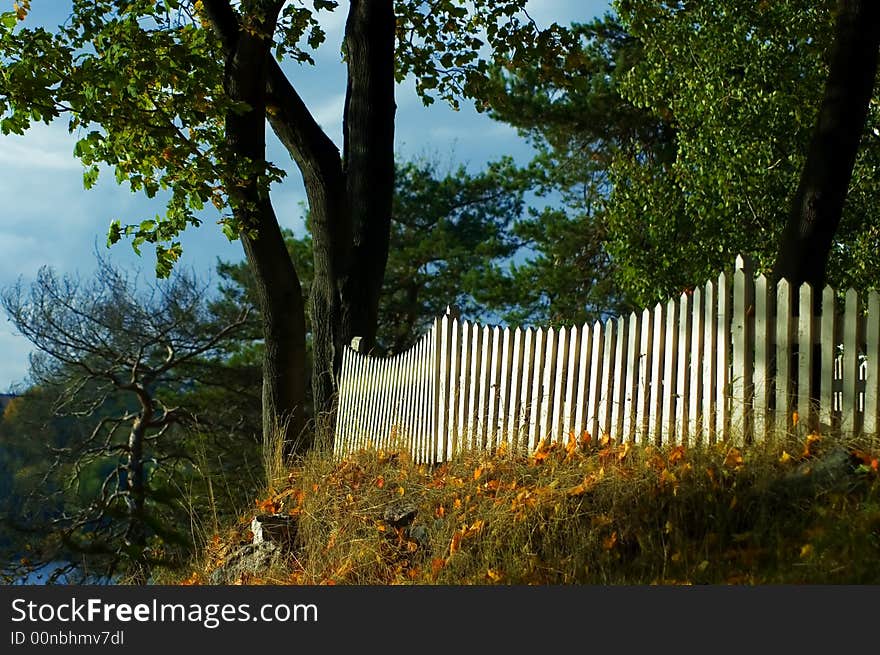 A park with bright autumn coloured leaves. A park with bright autumn coloured leaves