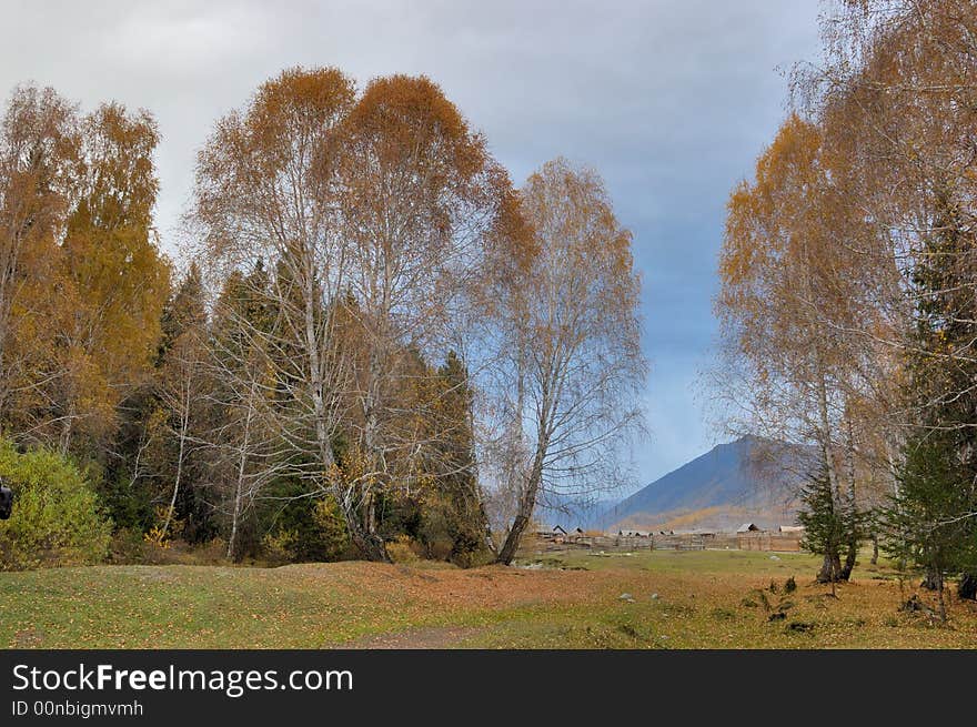 Photo in Hemu village, Xinjiang
A cloudy afternoon in October, 2007. Photo in Hemu village, Xinjiang
A cloudy afternoon in October, 2007