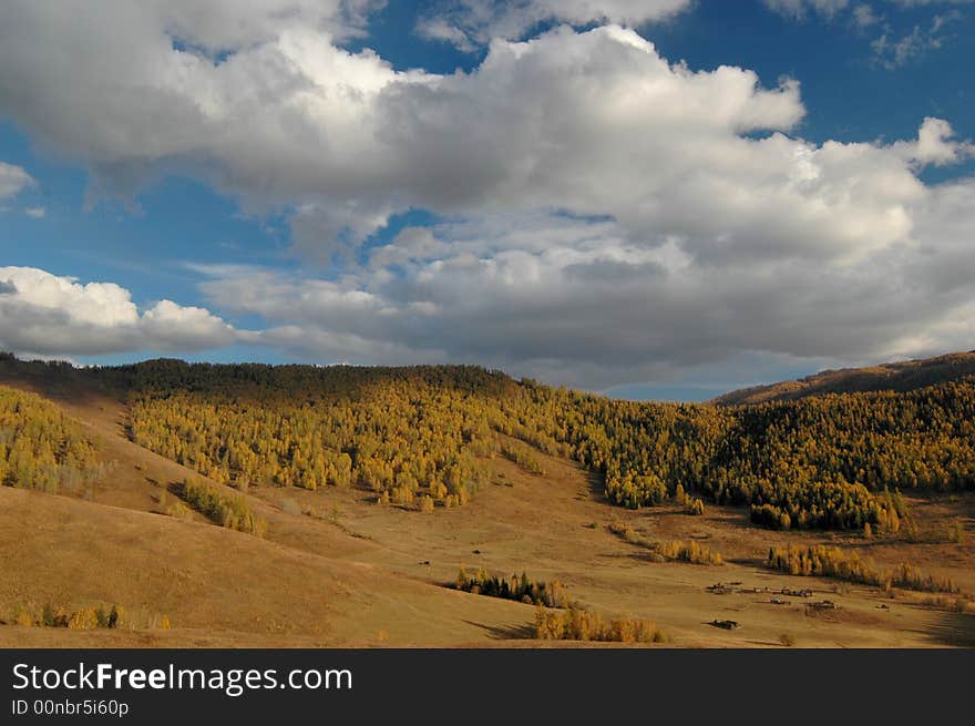 The alpine farm land on the way from Kanas to Hemu.
Burqin, northern Xinjiang, China.
October, 2007