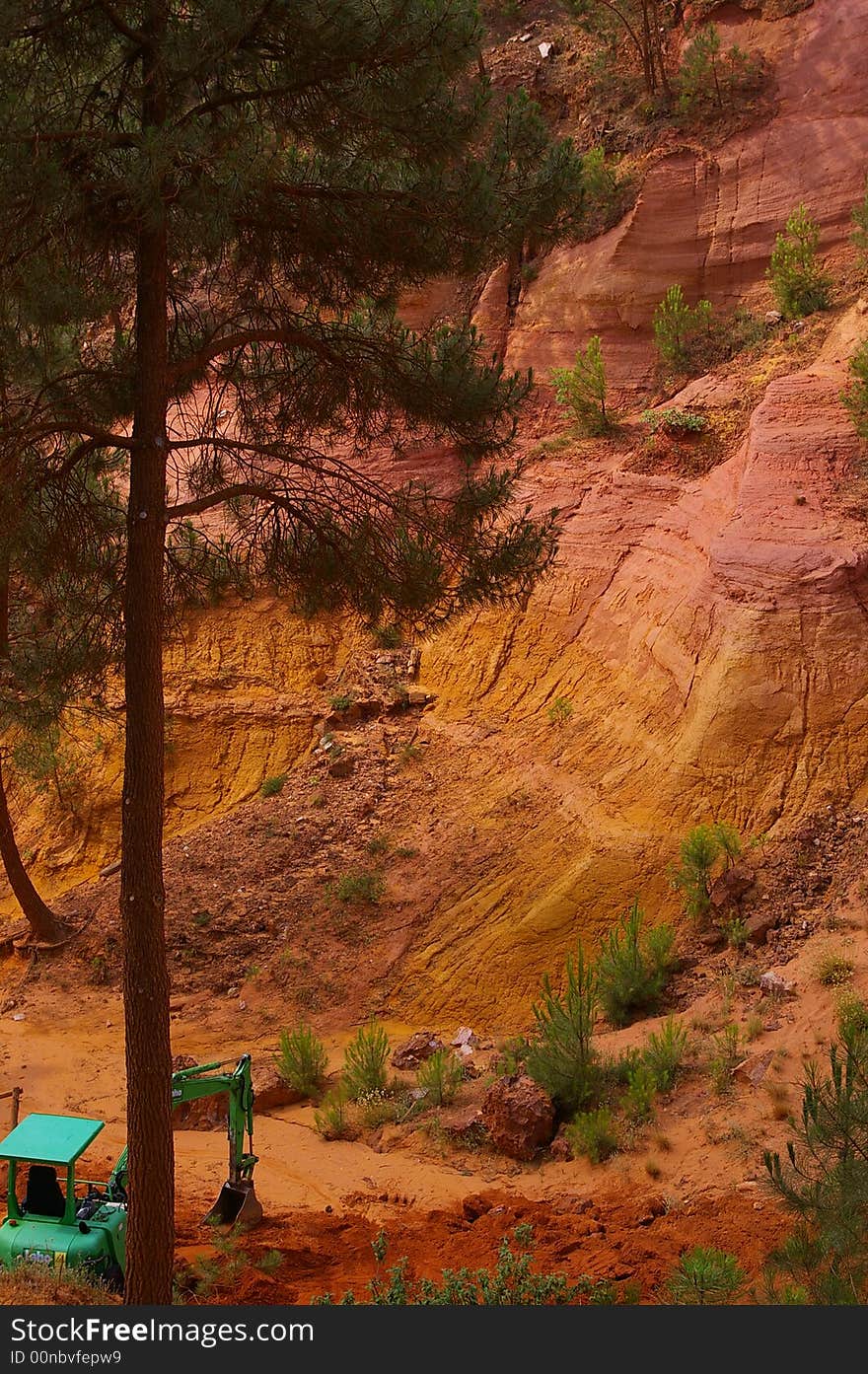 Red rock, pine wood and crane