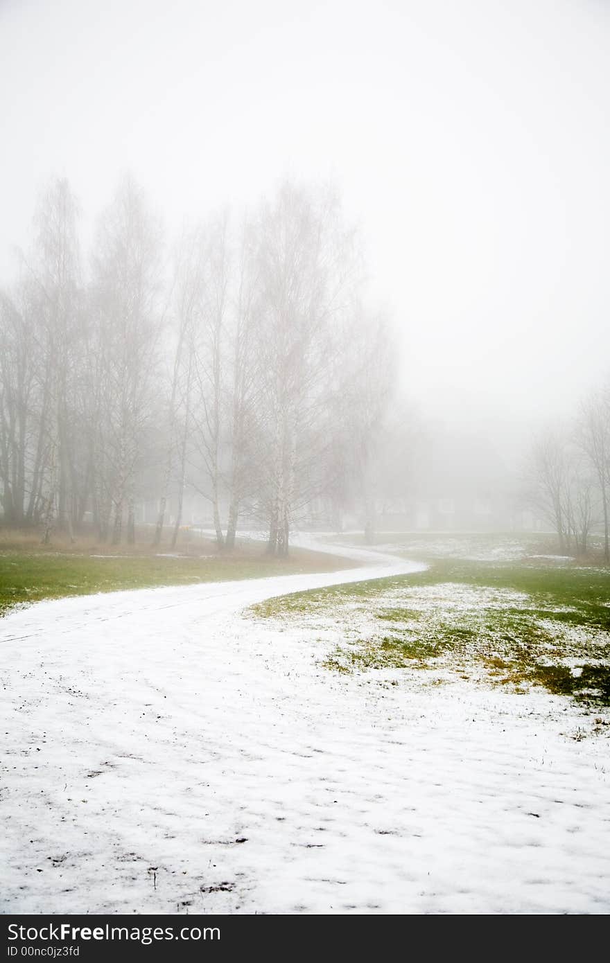 Fog in the park