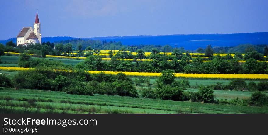 Rape fields with a white church in a hilly landscape. Rape fields with a white church in a hilly landscape