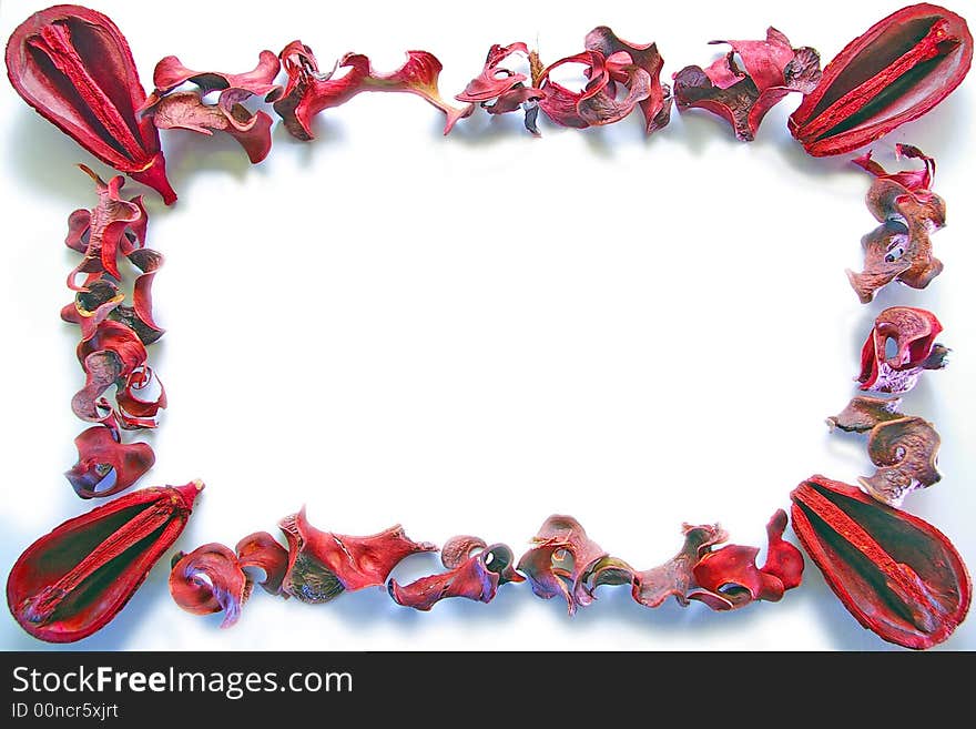 Mix of dried, red leaves and nuts arranged in a frame.  Insert your own text. Mix of dried, red leaves and nuts arranged in a frame.  Insert your own text.