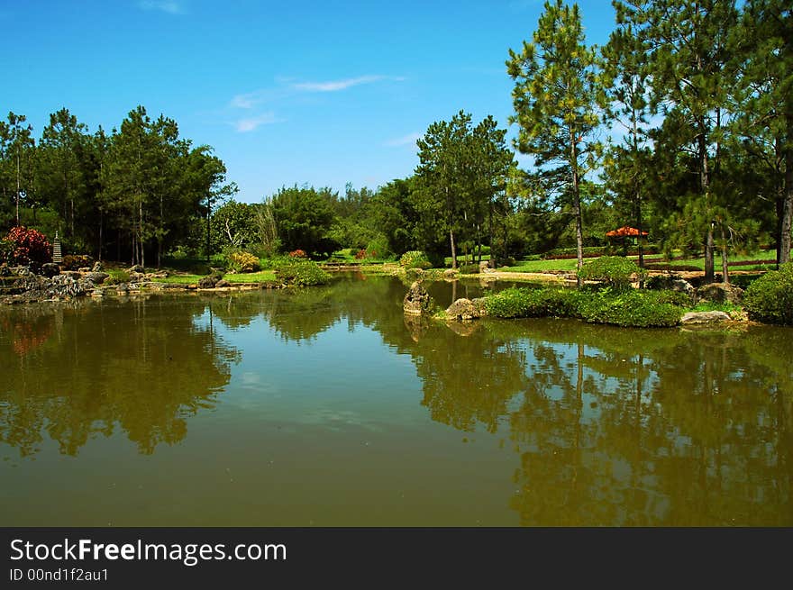 Green trees and and pond in asian garden. Green trees and and pond in asian garden