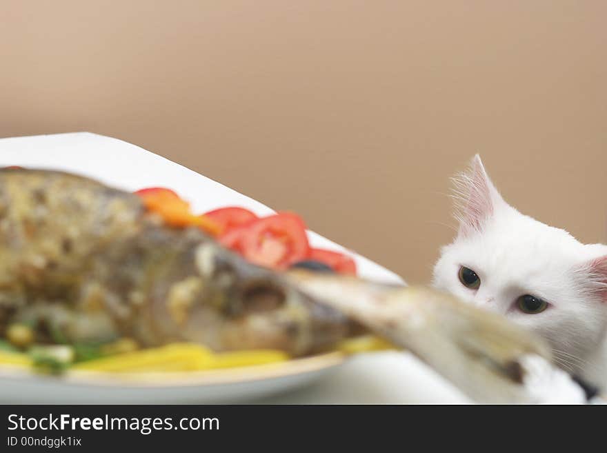 Baked fish and a hungry cat