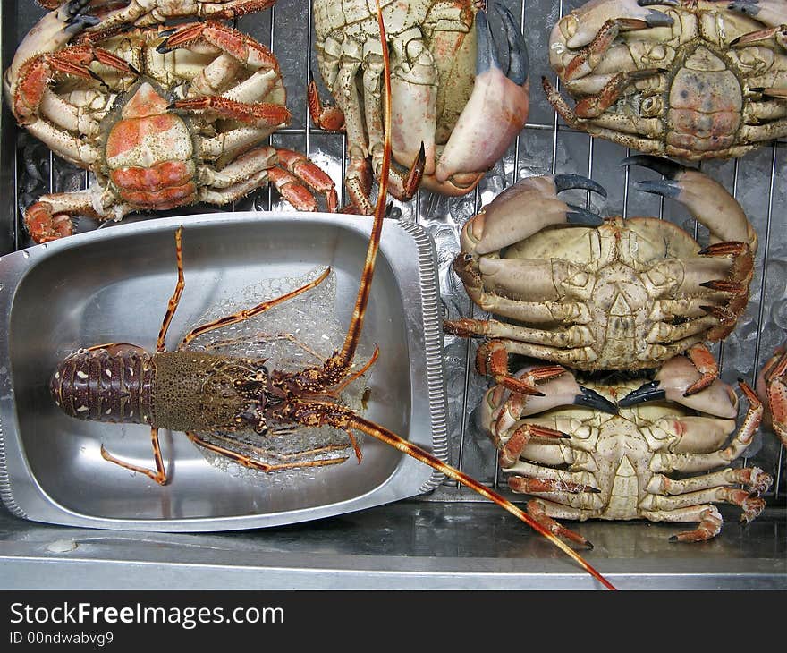 Lobster and large crabs for sale at market